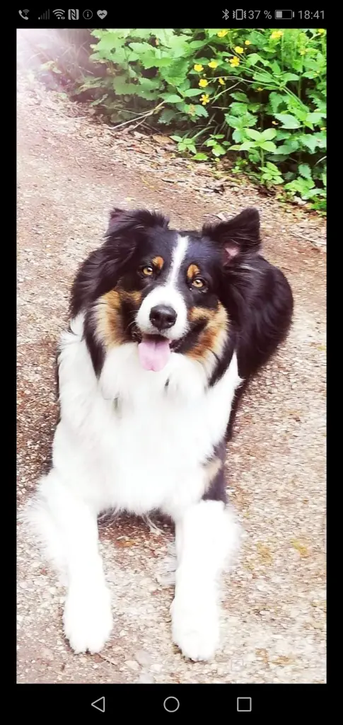 Andachtsbild von Claudia