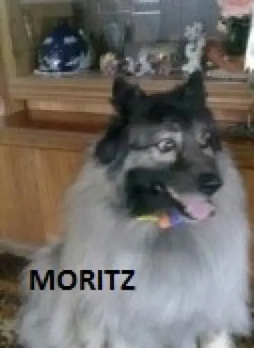 Image from Moritz