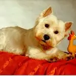 Condolence image of Monika