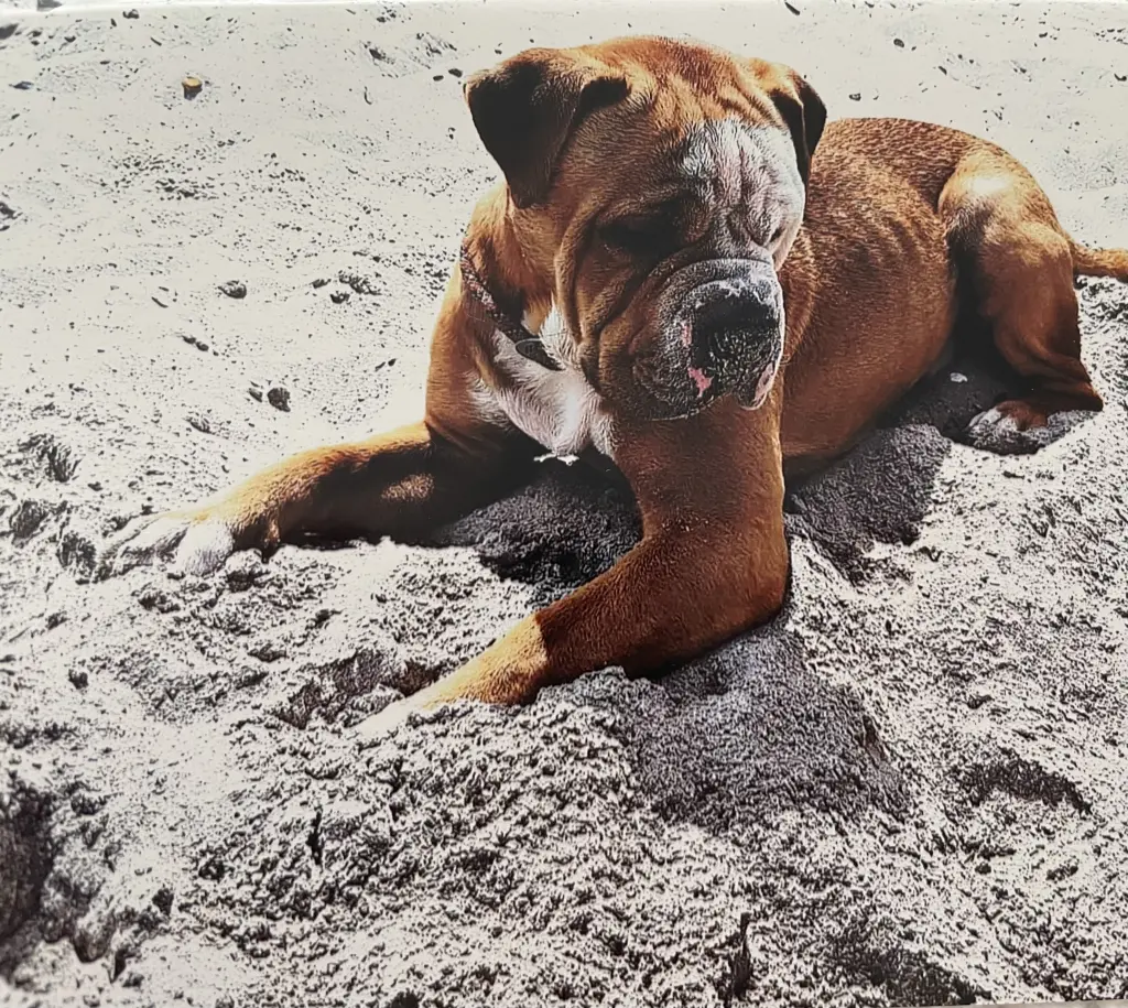 Andachtsbild von Tante Krissi