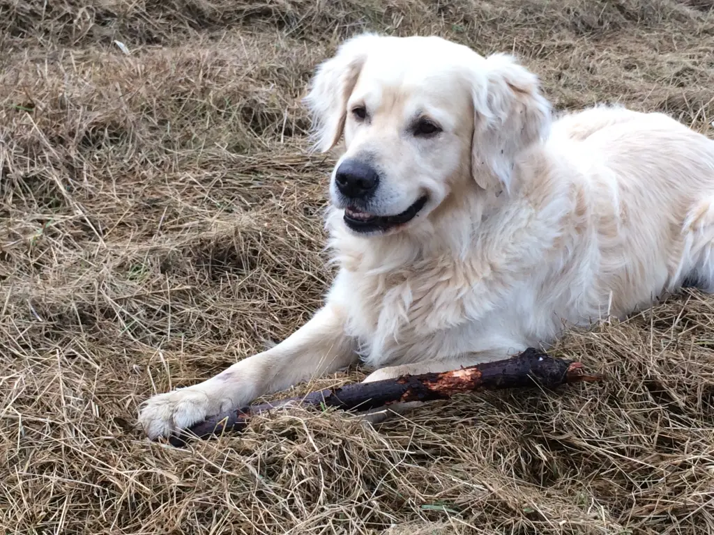 Andachtsbild von Andy ❤️ und Piet ❤️❤️