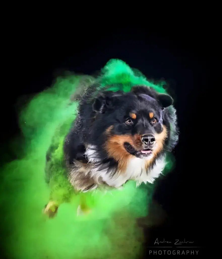 Bild von Charly