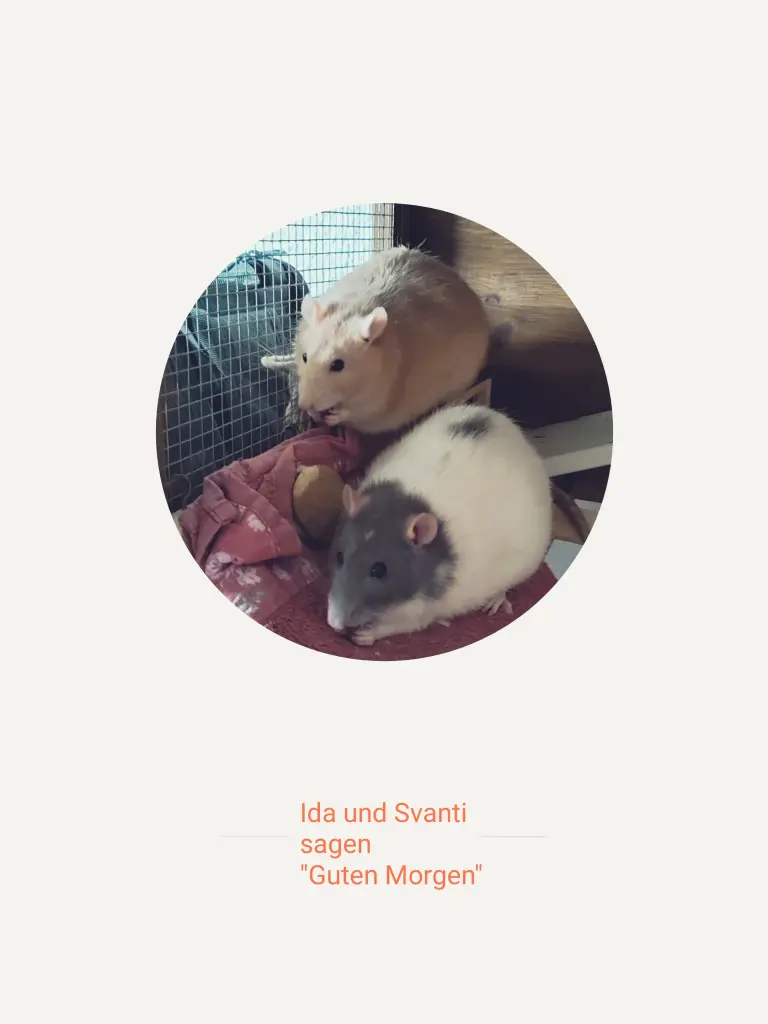 Bild von Ida