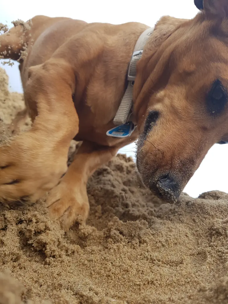 Hier war er glücklich