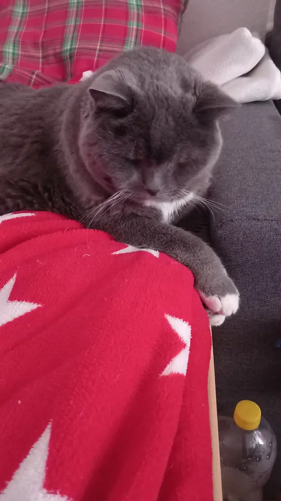 Andachtsbild von Franziska Ams