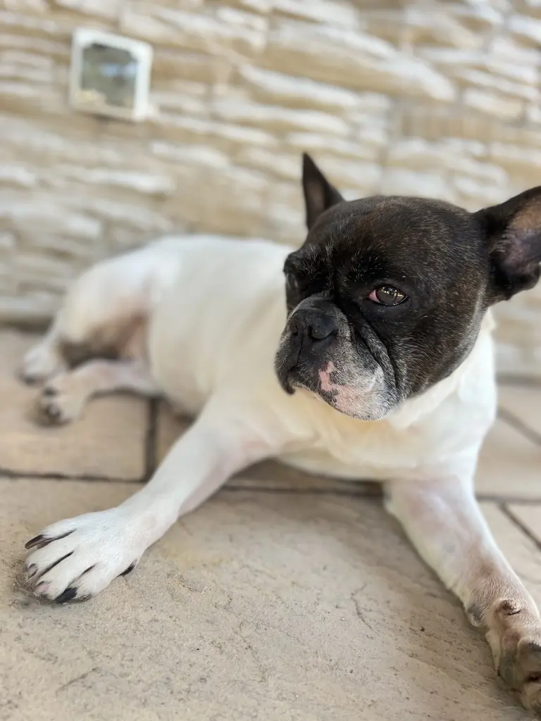 Andachtsbild von Agnieszka