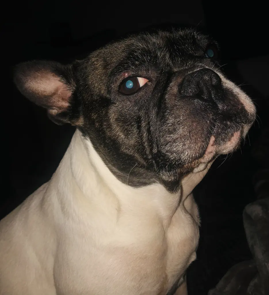 Andachtsbild von Agnieszka