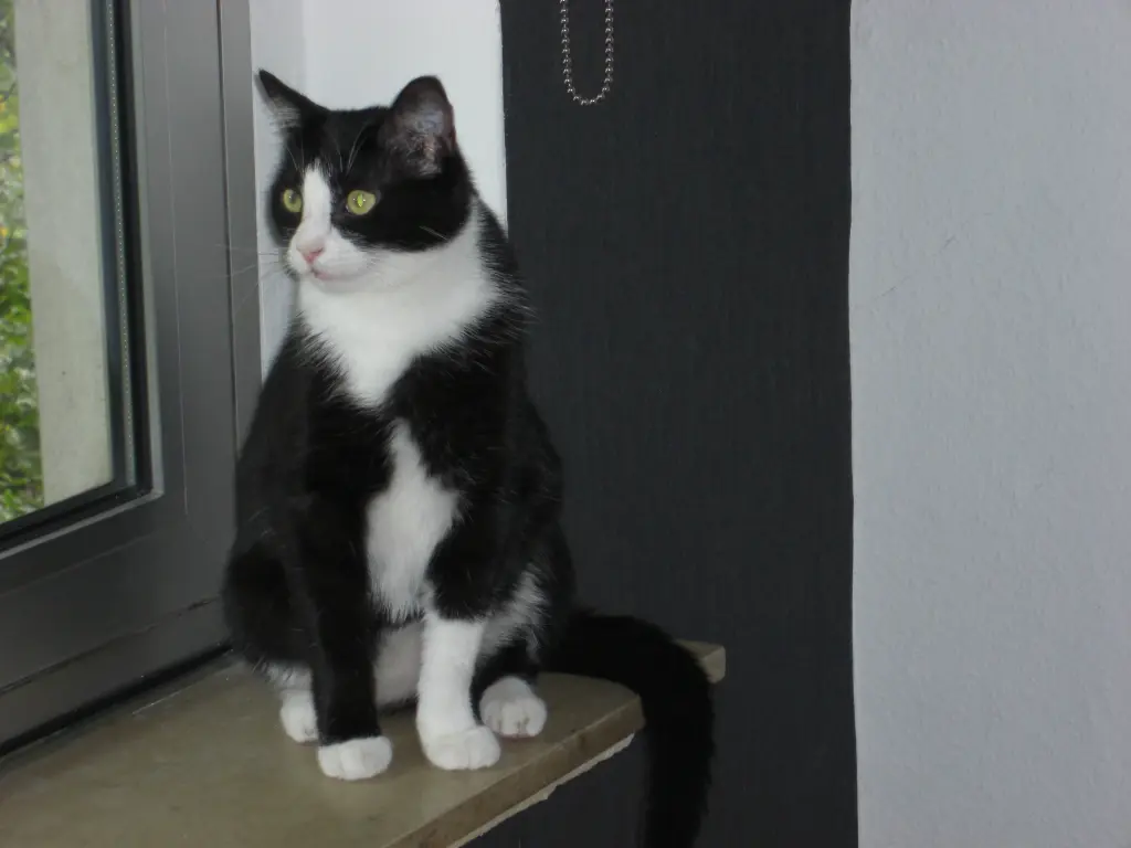 Bild von Paul