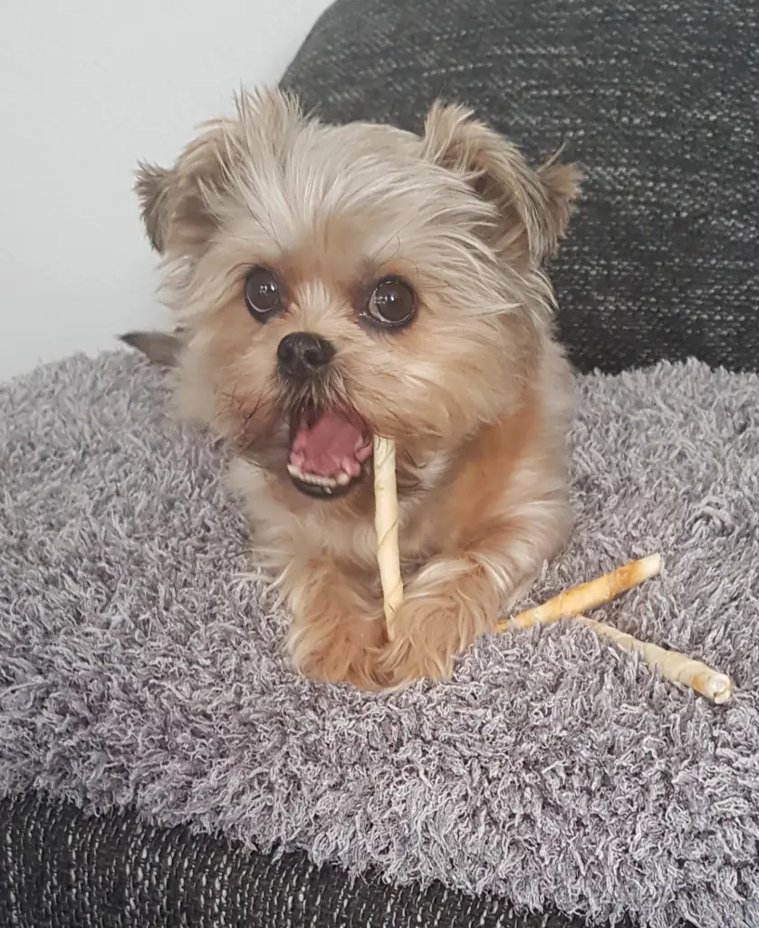 Bild von Lotti
