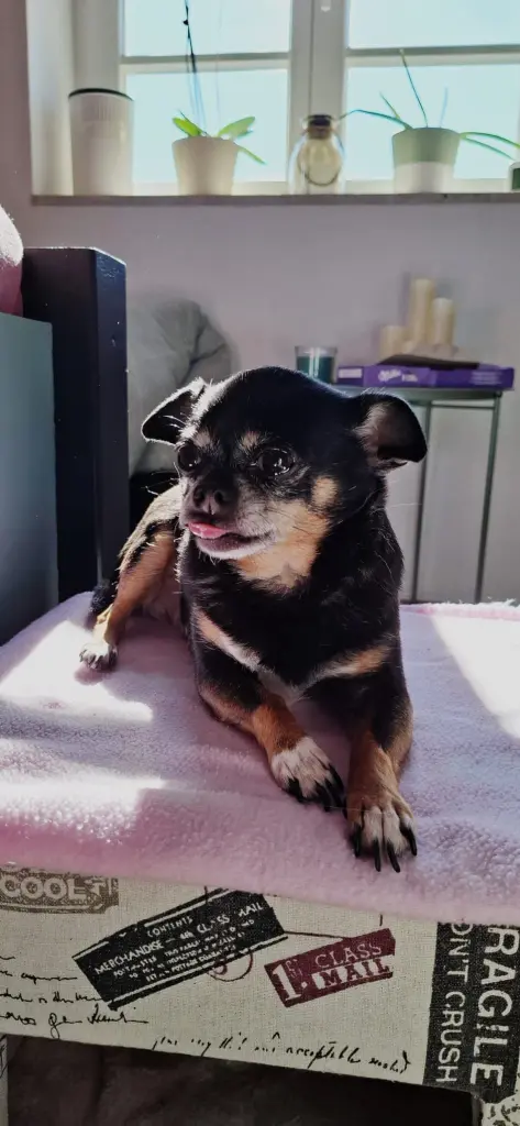 Andachtsbild von Elvira und Michael Wolff