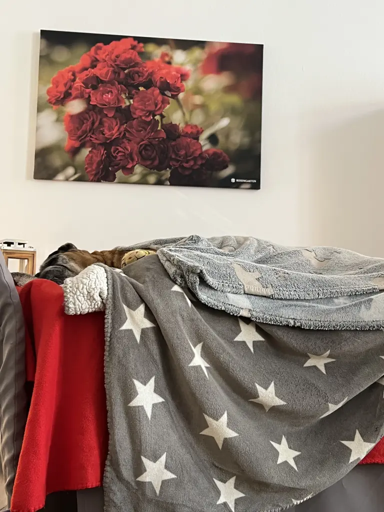 Andachtsbild von Manuela Schau