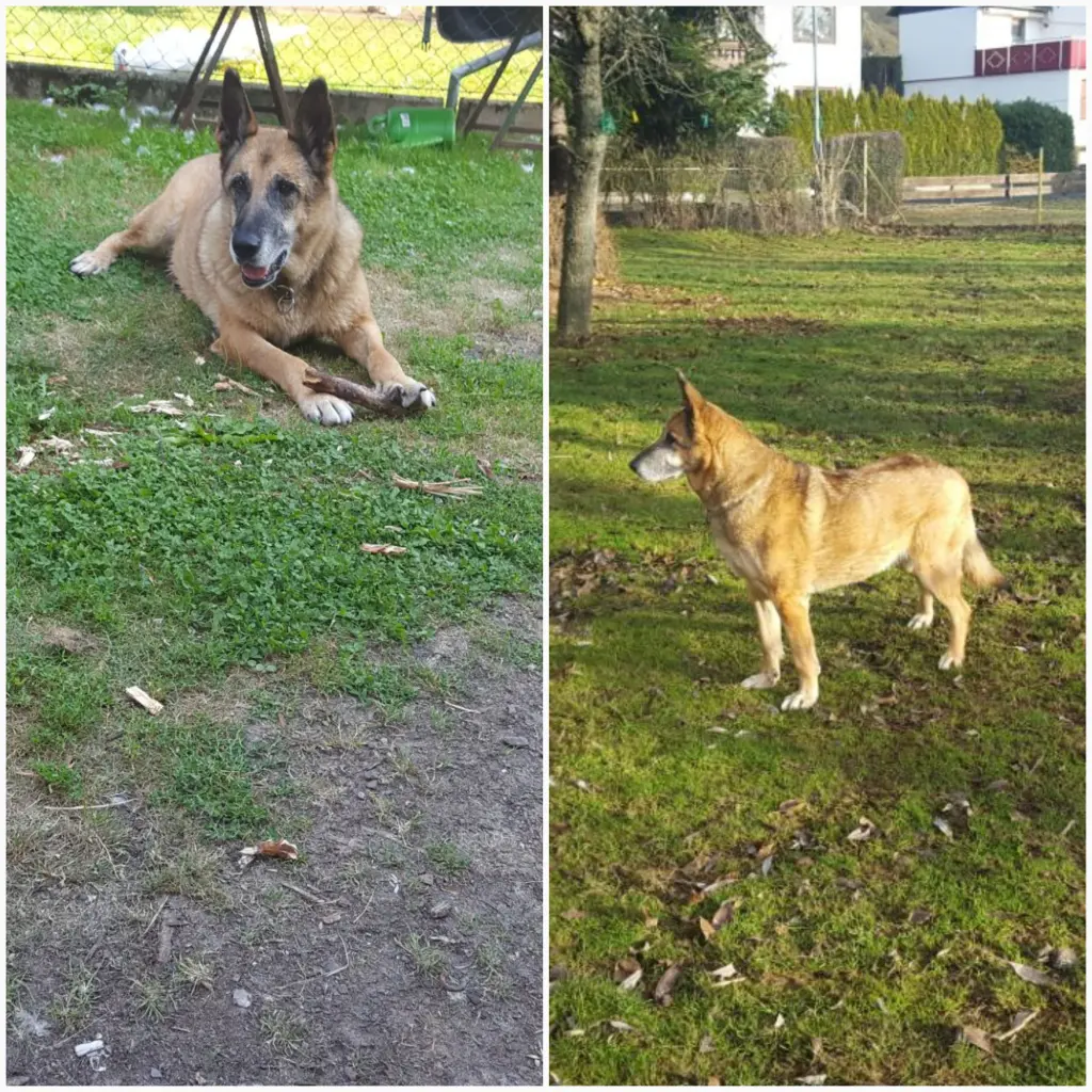 Andachtsbild von Claudia m. TARA im Herzen