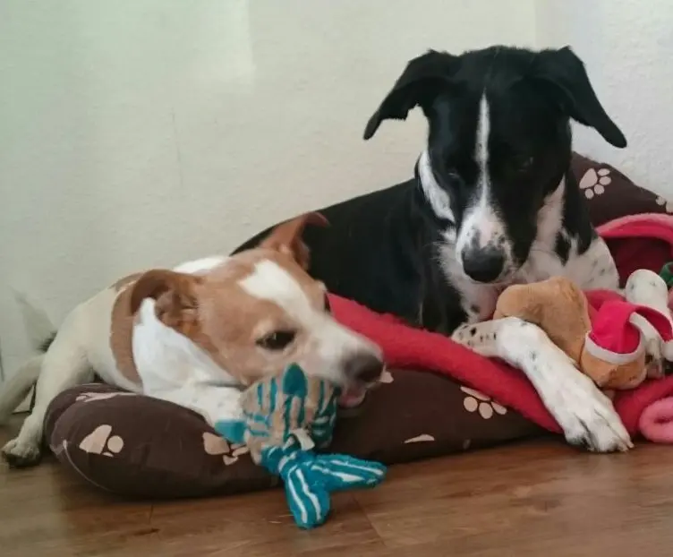 Andachtsbild von Kersten Hermann