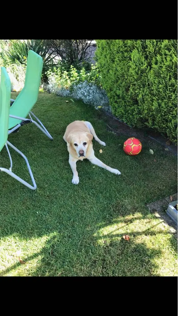 Andachtsbild von Aleksandra mit Max im Herzen