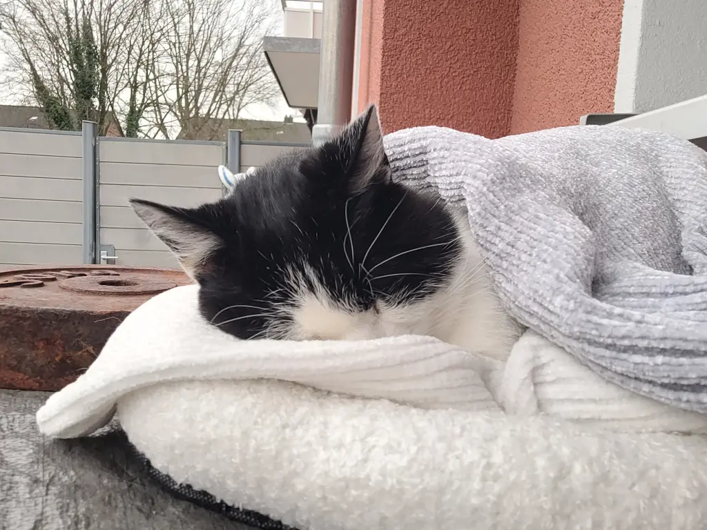 Selbst wenn es zu kalt war hast du es genossen draußen..
