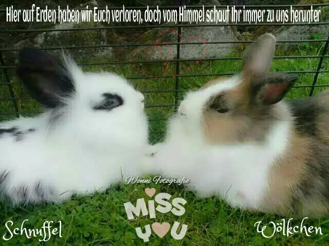 Condolence image of Ivonne