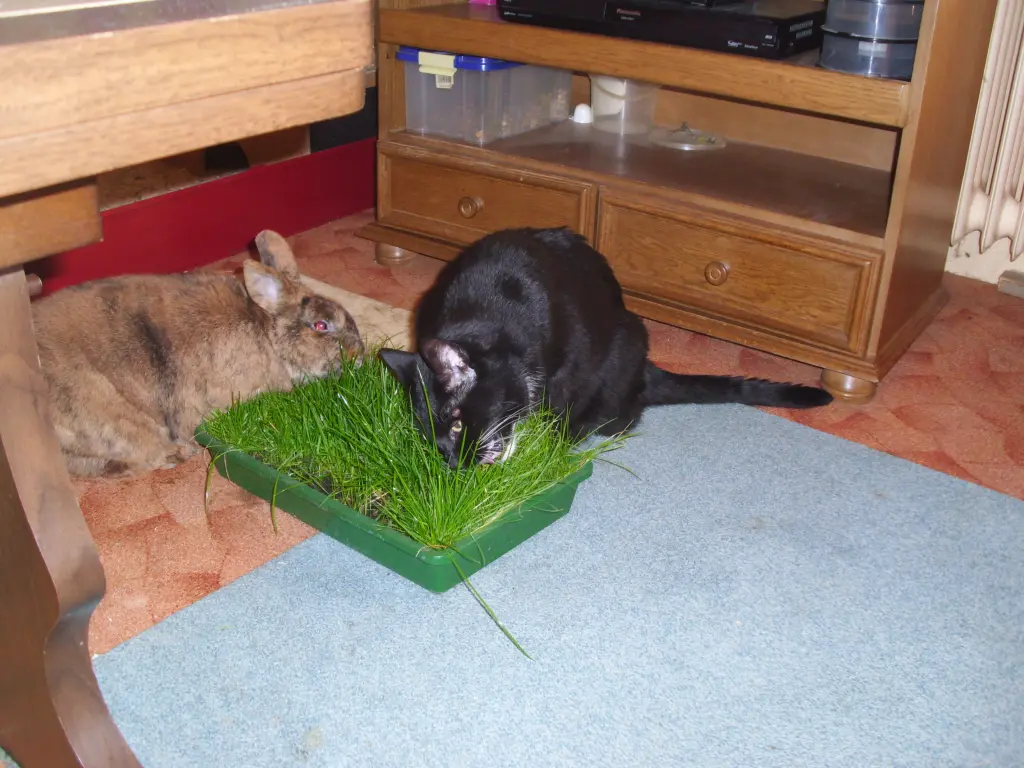 Condolence image of manuela böttcher