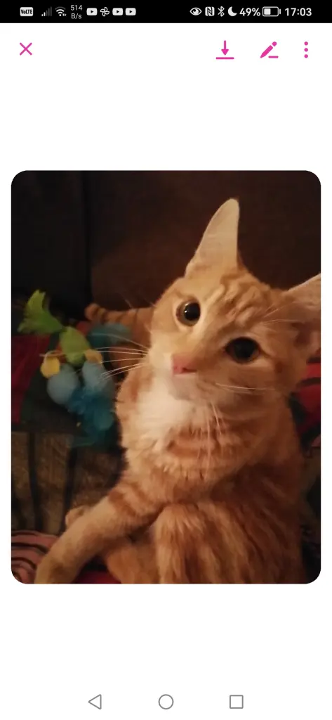 Andachtsbild von Jana Knauer