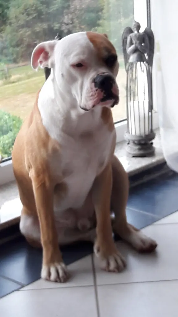 Bild von Charlie