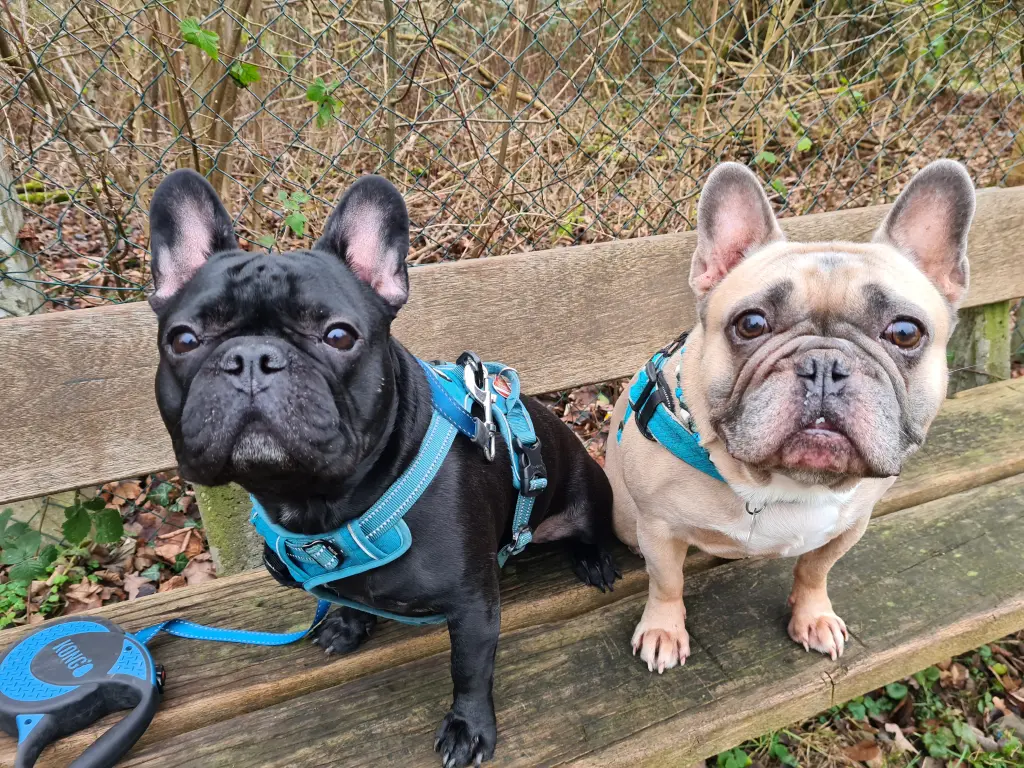 Andachtsbild von Sarah Sagenschneider