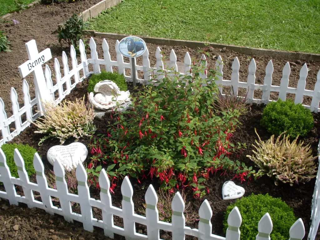 Condolence image of Helmut mit Benny im Herzen