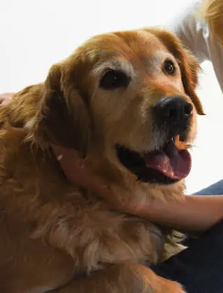 Condolence image of Micha mit Cäsar im Herzen