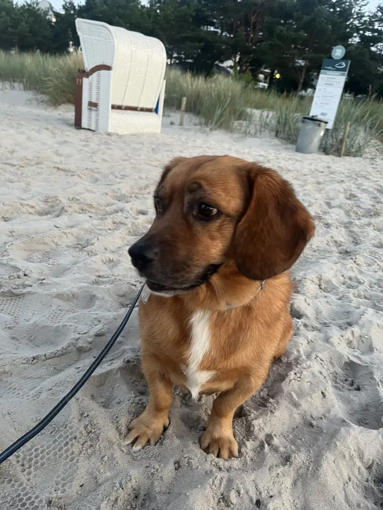 Andachtsbild von Sabrina
