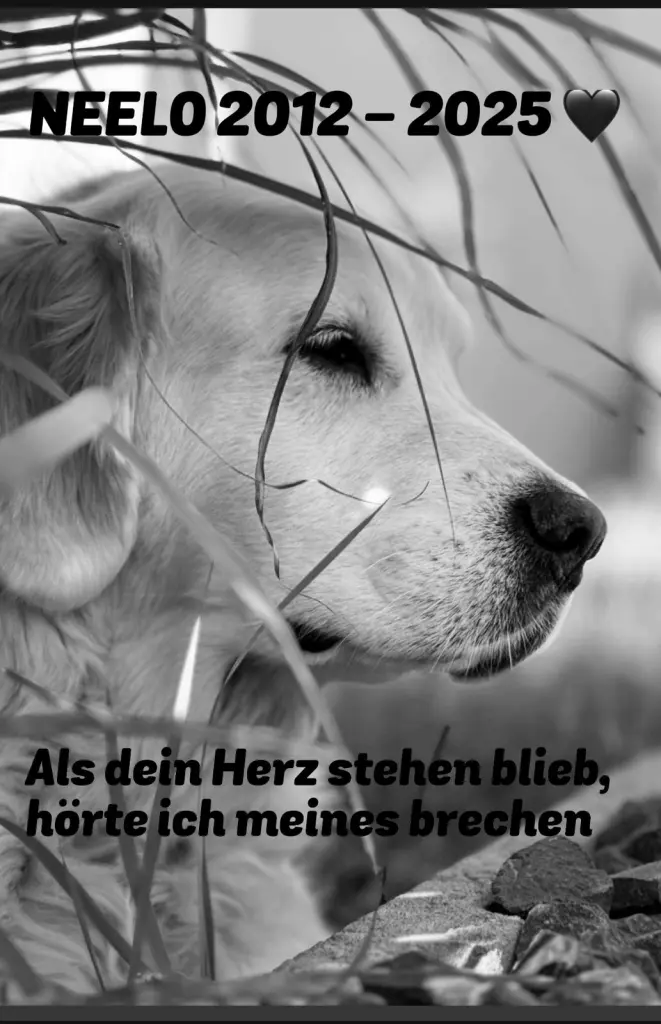 Andachtsbild von Alexandra mit Neelo tief im ♥️