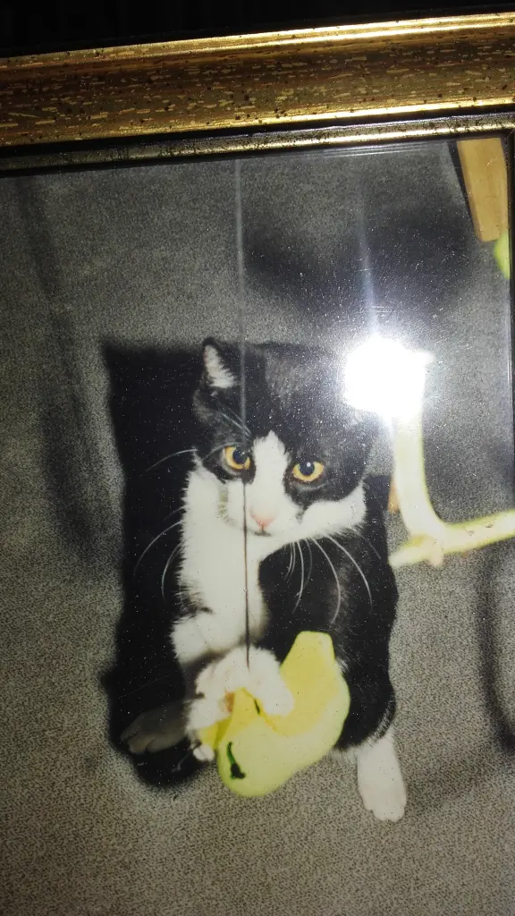 Condolence image of Ute