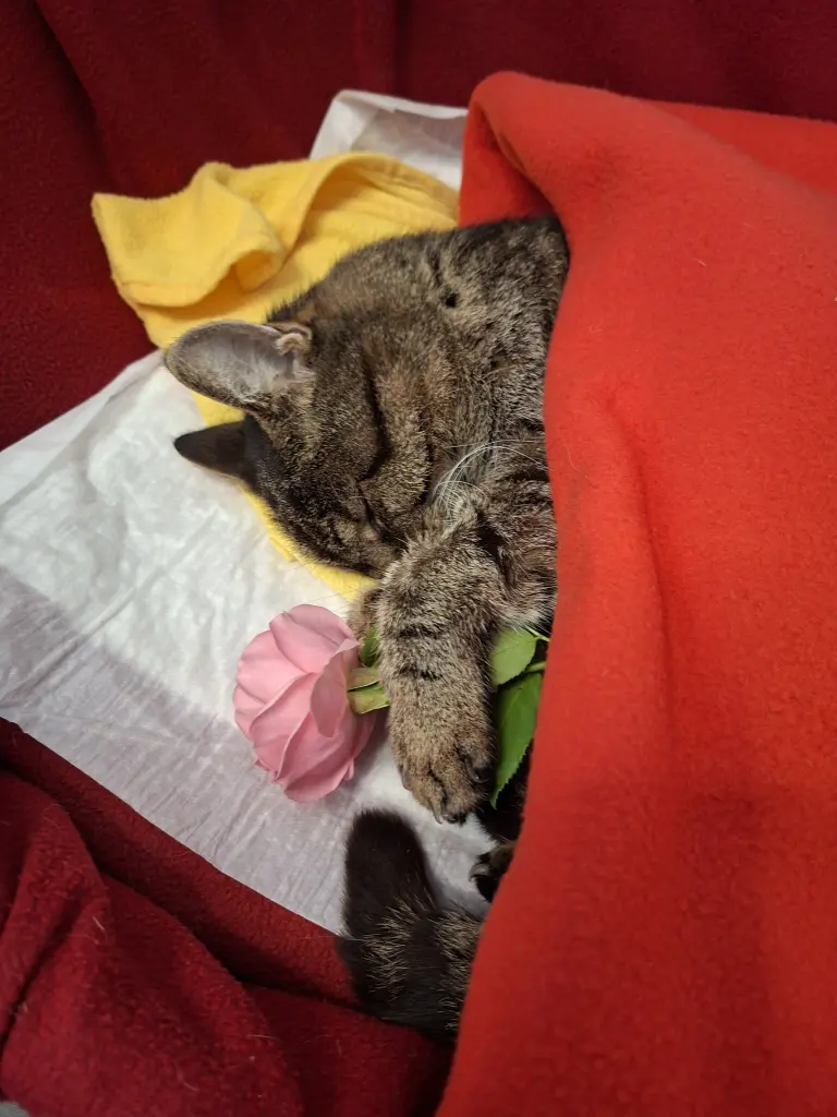 Andachtsbild von Christine Wiegand