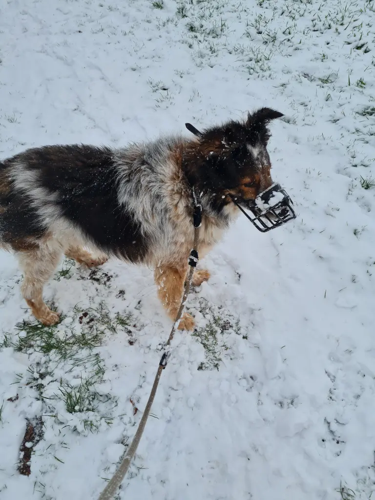 Bild von Lio