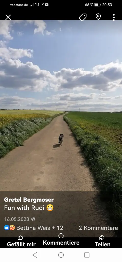 Andachtsbild von Gretel Bergmoser