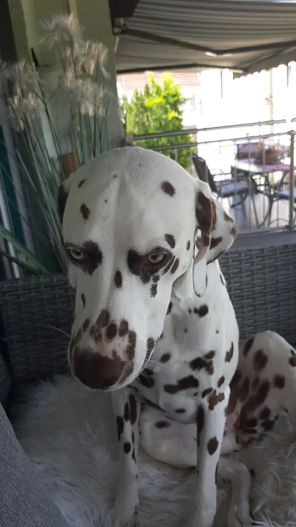 Andachtsbild von Lothar und Karin Leibrecht