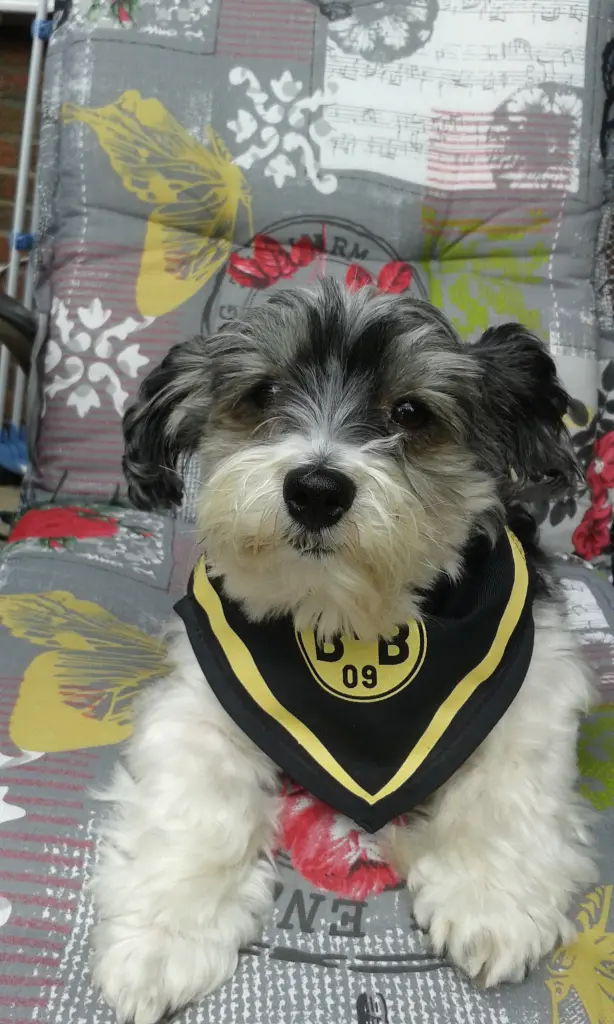 Andachtsbild von Thorsten Klömpken