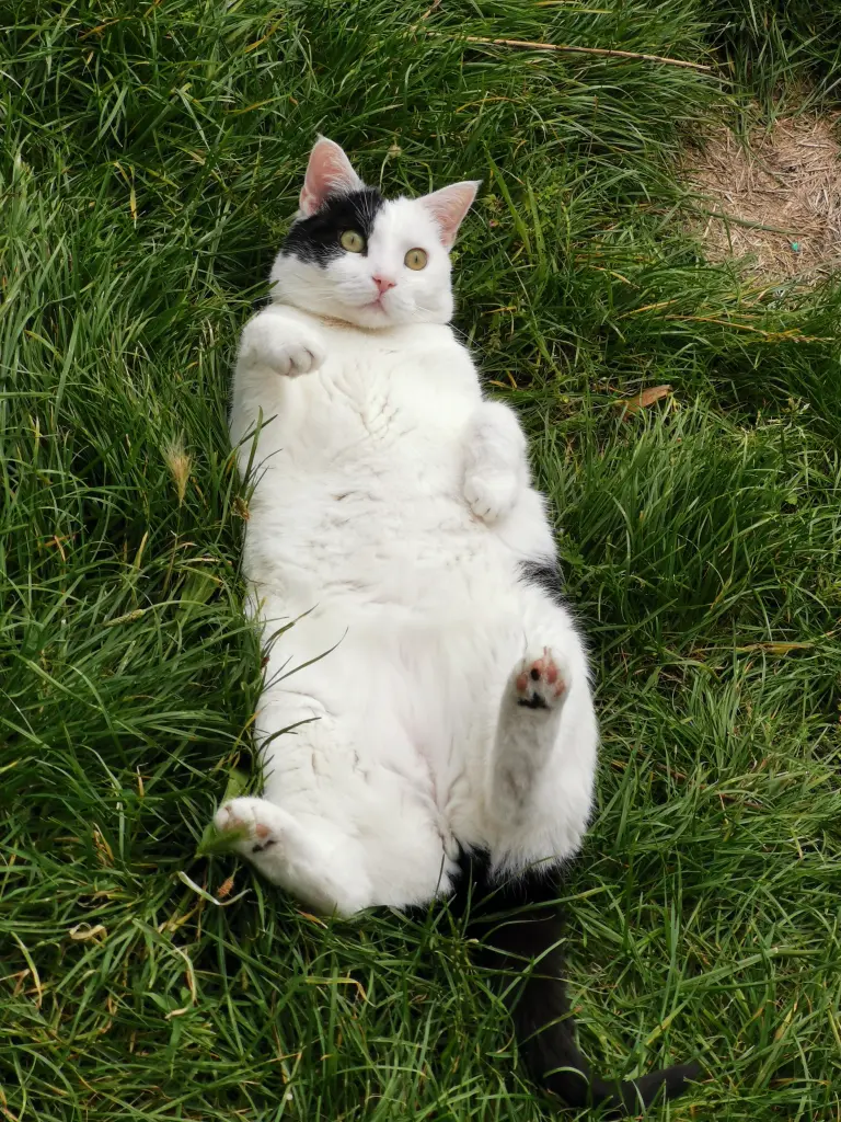 Andachtsbild von Sabine Pfeiffer