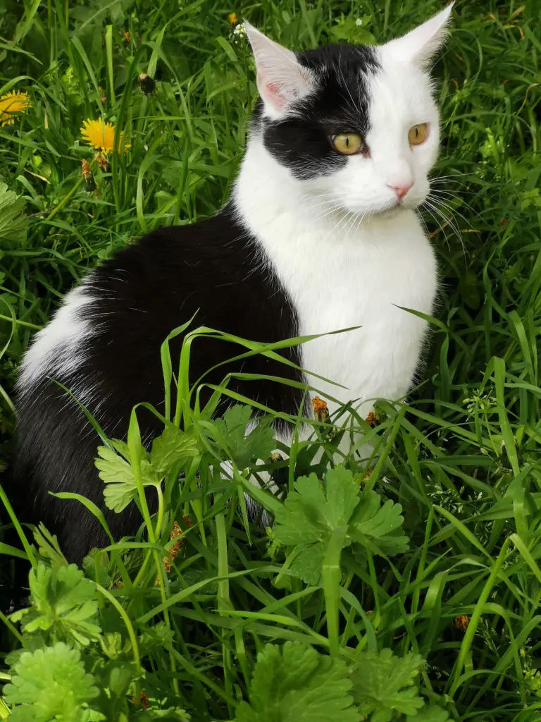 Andachtsbild von Sabine Pfeiffer