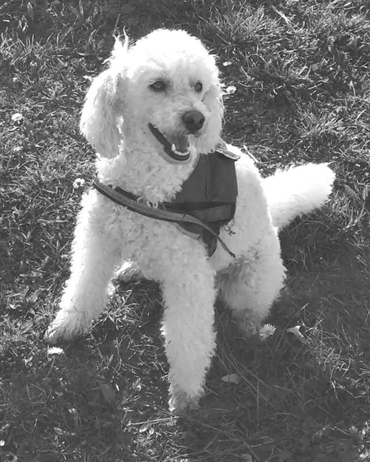 Andachtsbild von Tina & Max Steinbiß