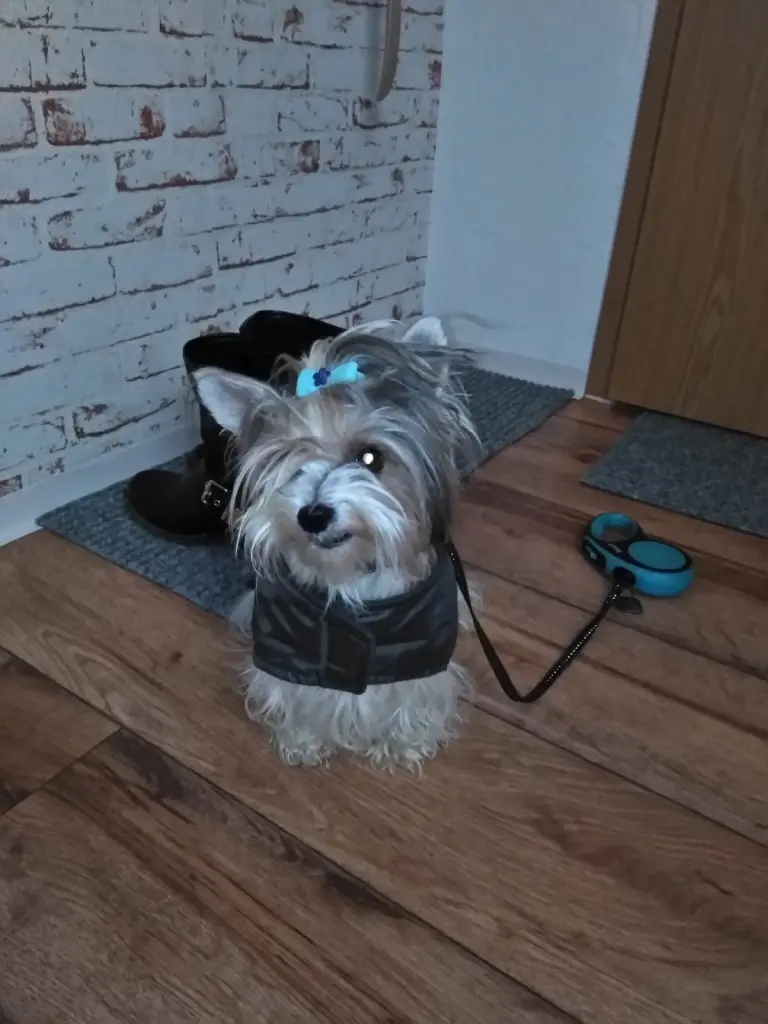 Andachtsbild von Konny mit Piccolino-Fly tief im ❤️