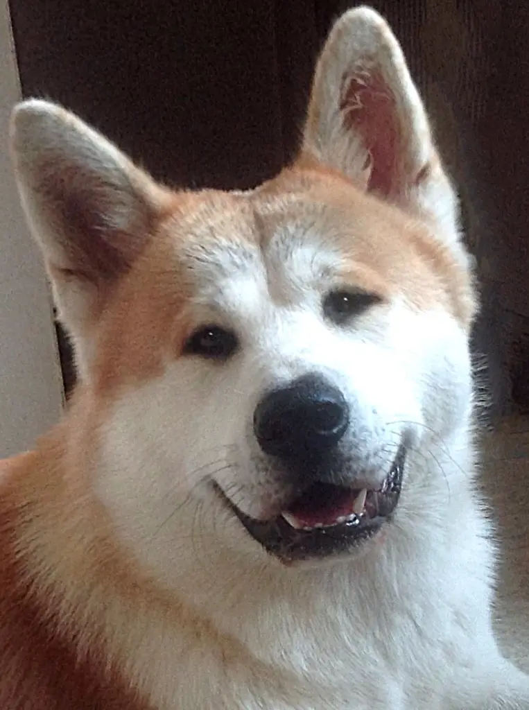 Andachtsbild von Sandra Riewendt