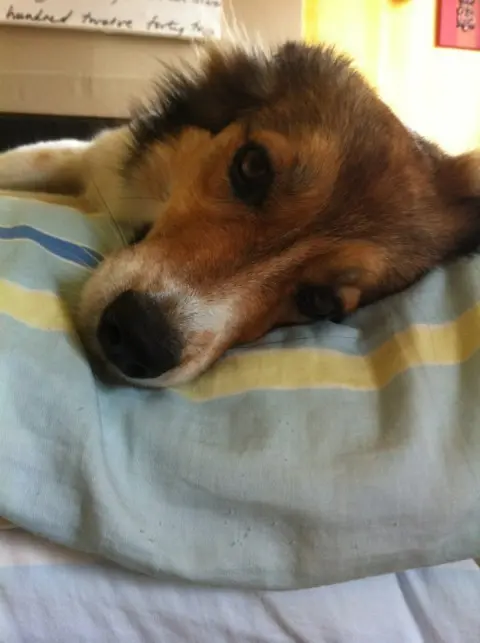 Andachtsbild von Ginette mit Aisha i m Herzen