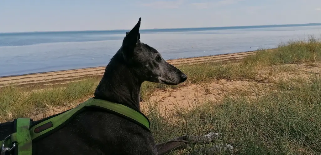 Urlaub, einer von ganz vielen