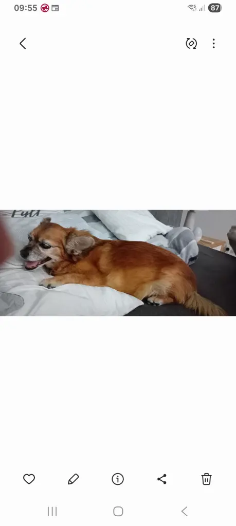 Bild von Bella