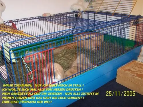 Image from meine süße Rasselbande , einer ist im Häus - chen
