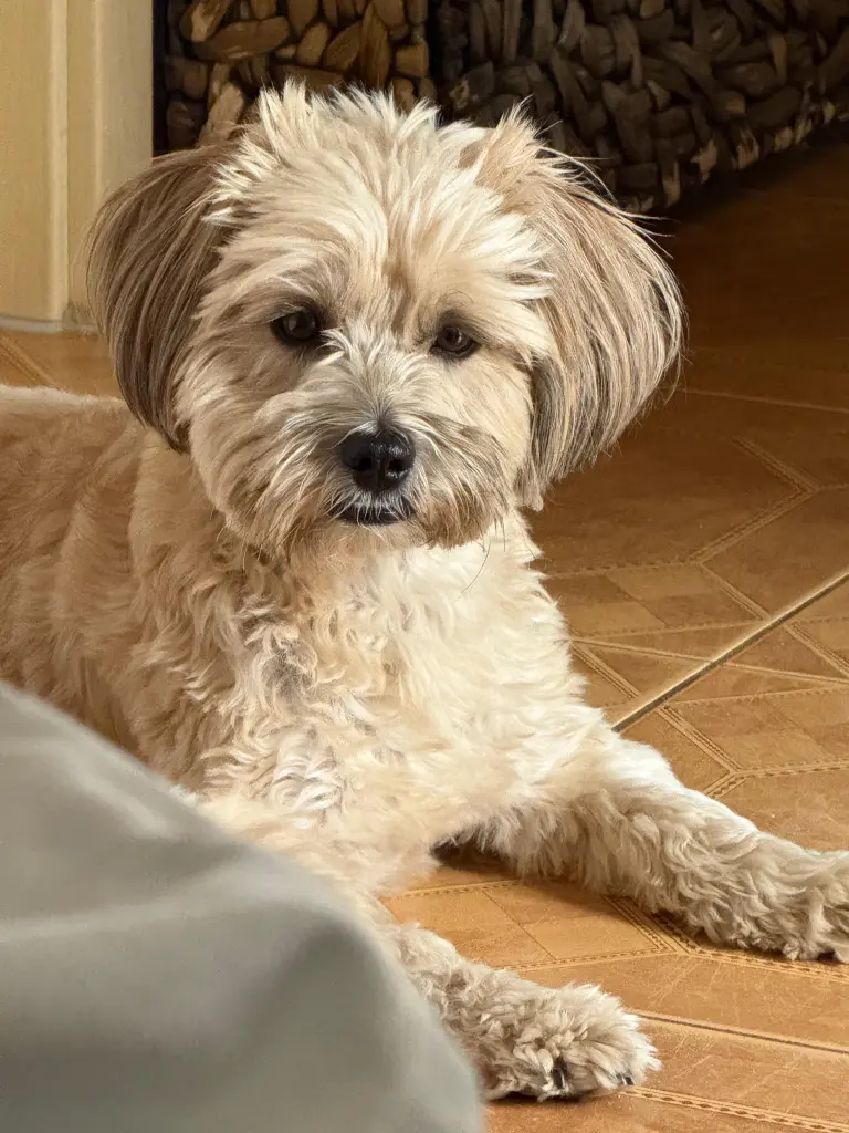 Andachtsbild von Karola Englert