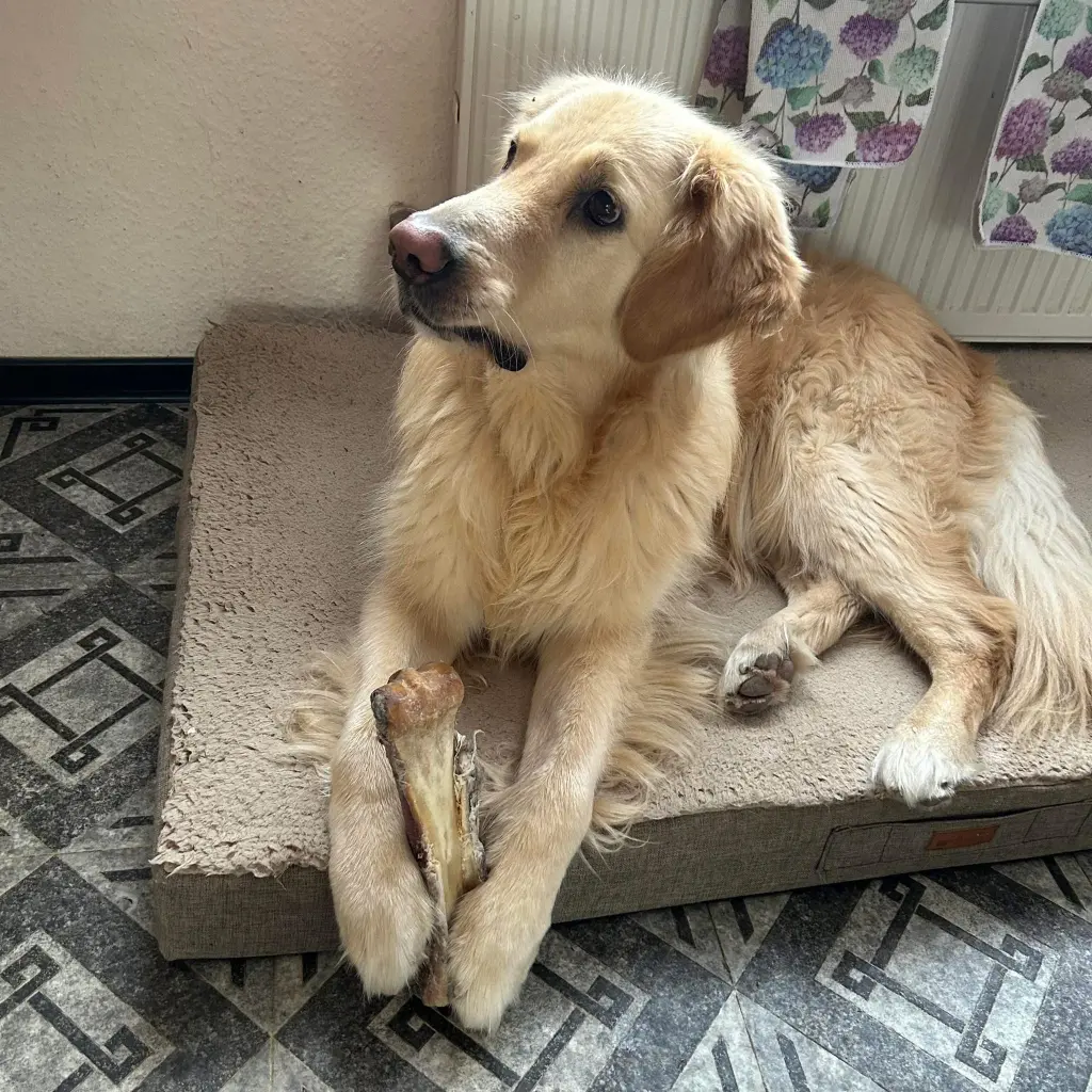 Bild von Charly
