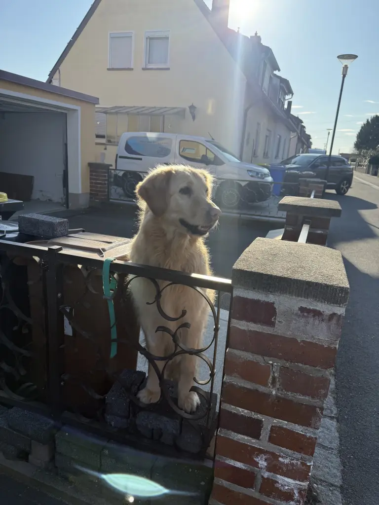 Bild von Charly
