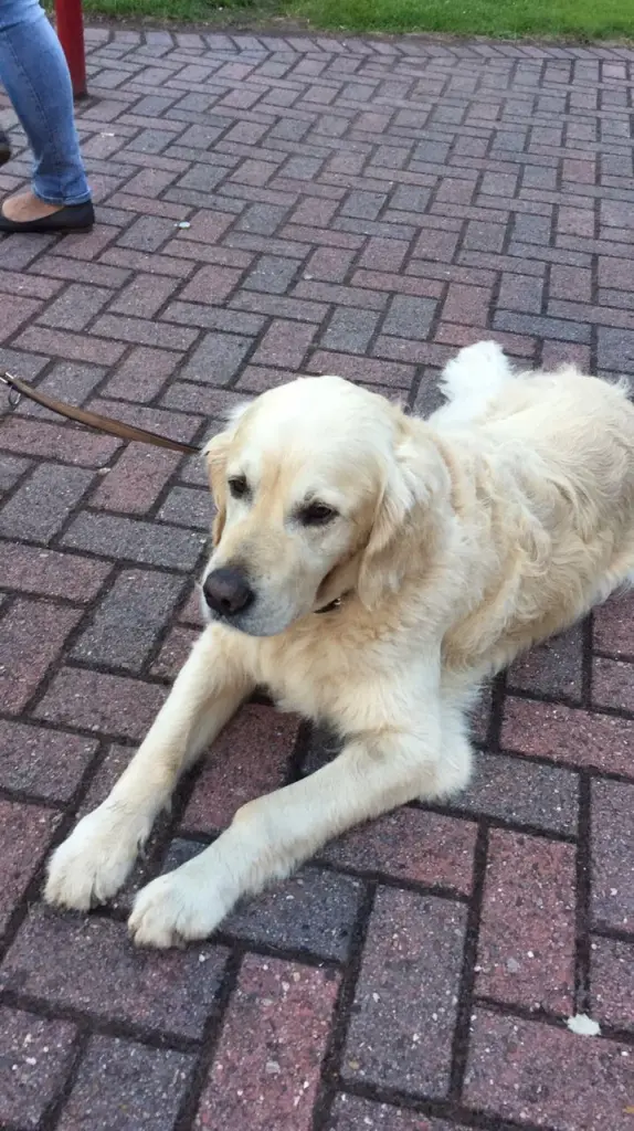 Andachtsbild von Andy ❤️ und Piet ❤️❤️