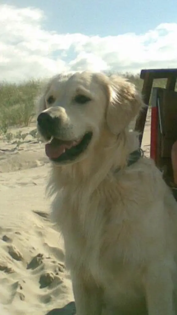 Andachtsbild von Andy ❤️ und Piet ❤️❤️