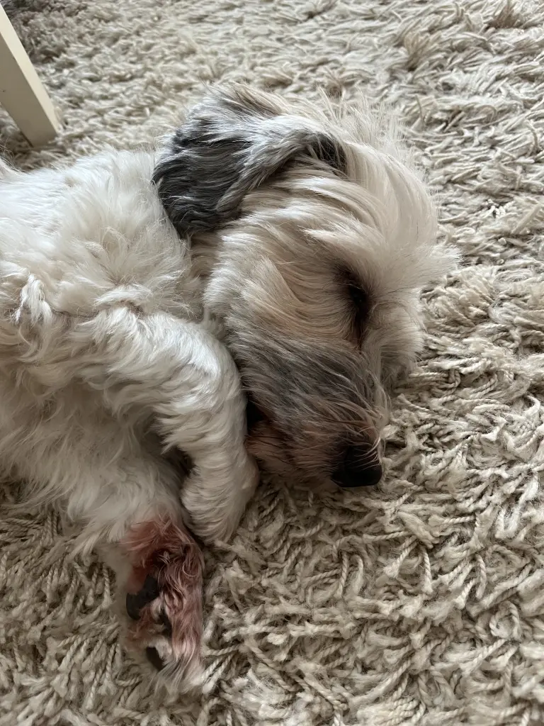 Andachtsbild von Claudi Delin