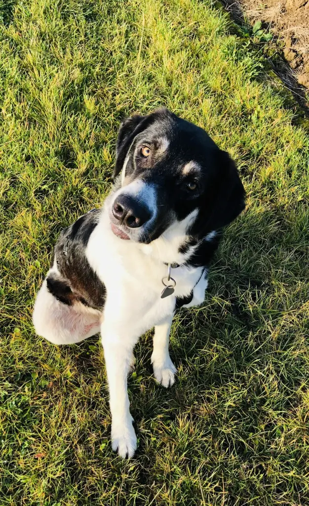 Andachtsbild von Yvonne S.